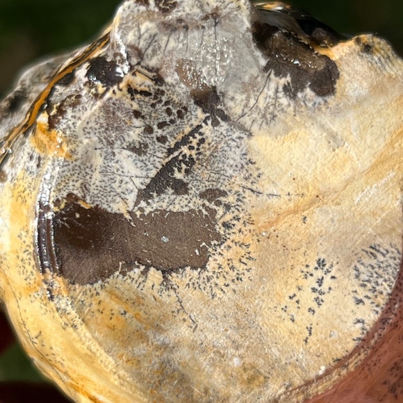 Picture jasper (1) owl craving | crystal - Picture 6 of 12